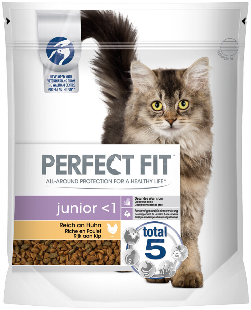 Perfect Fit Cat Junior