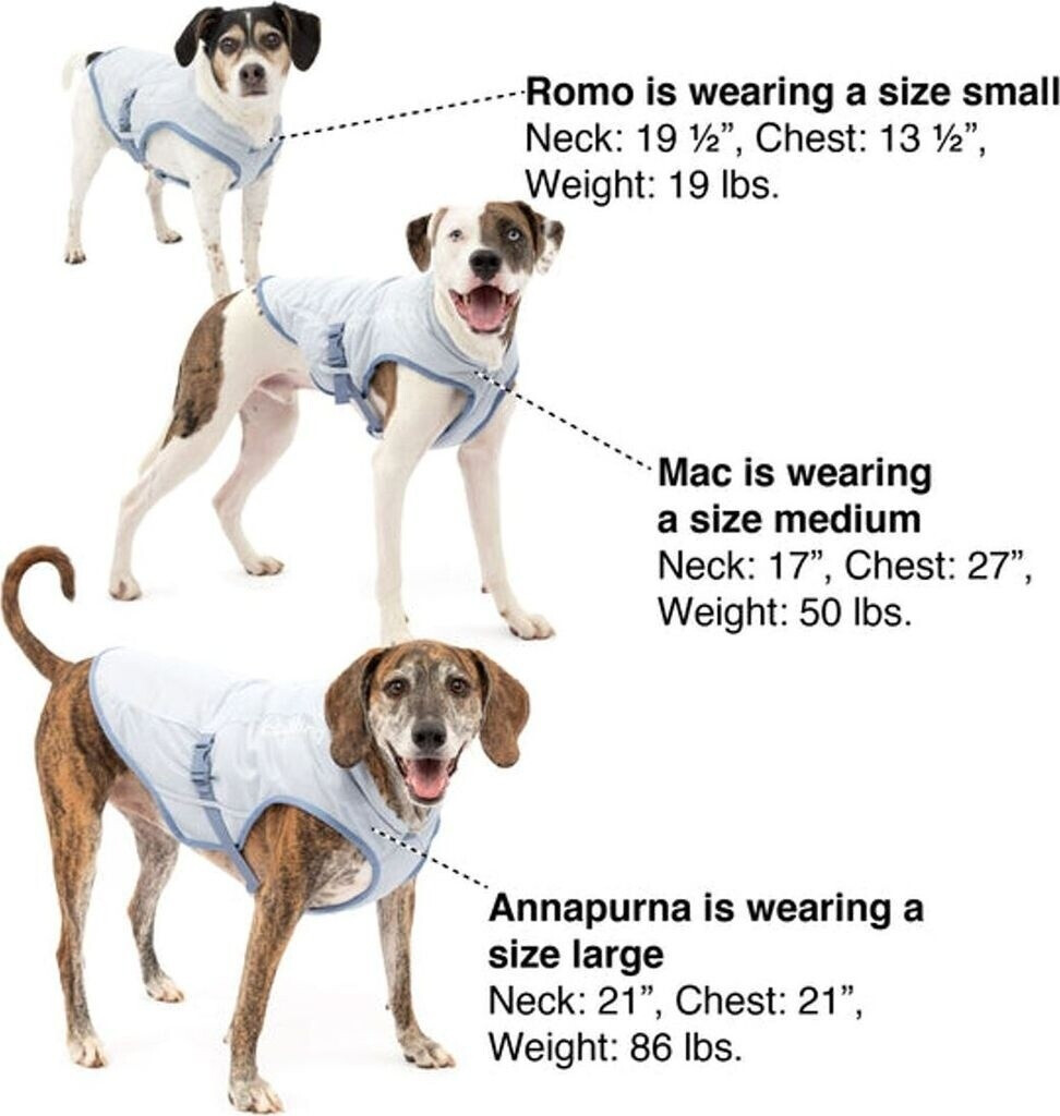 Kurgo Dog Core Vest Icy Blue M