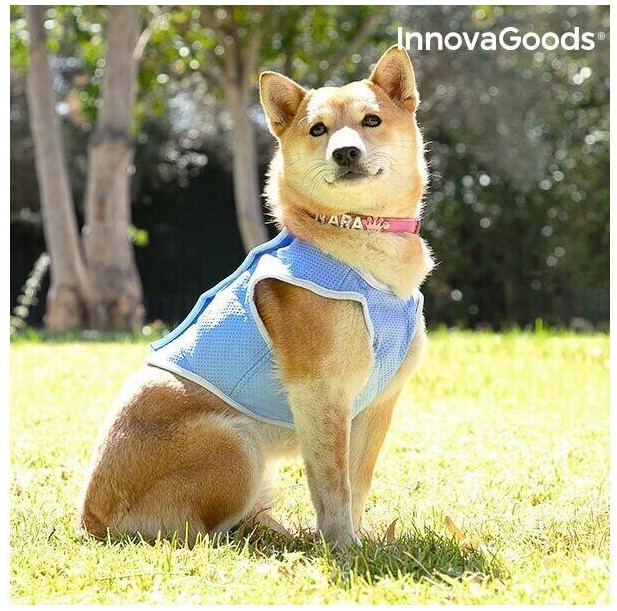 InnovaGoods Dog Cooling Vest