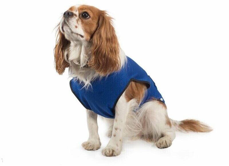 Ancol Dog Cooling Vest