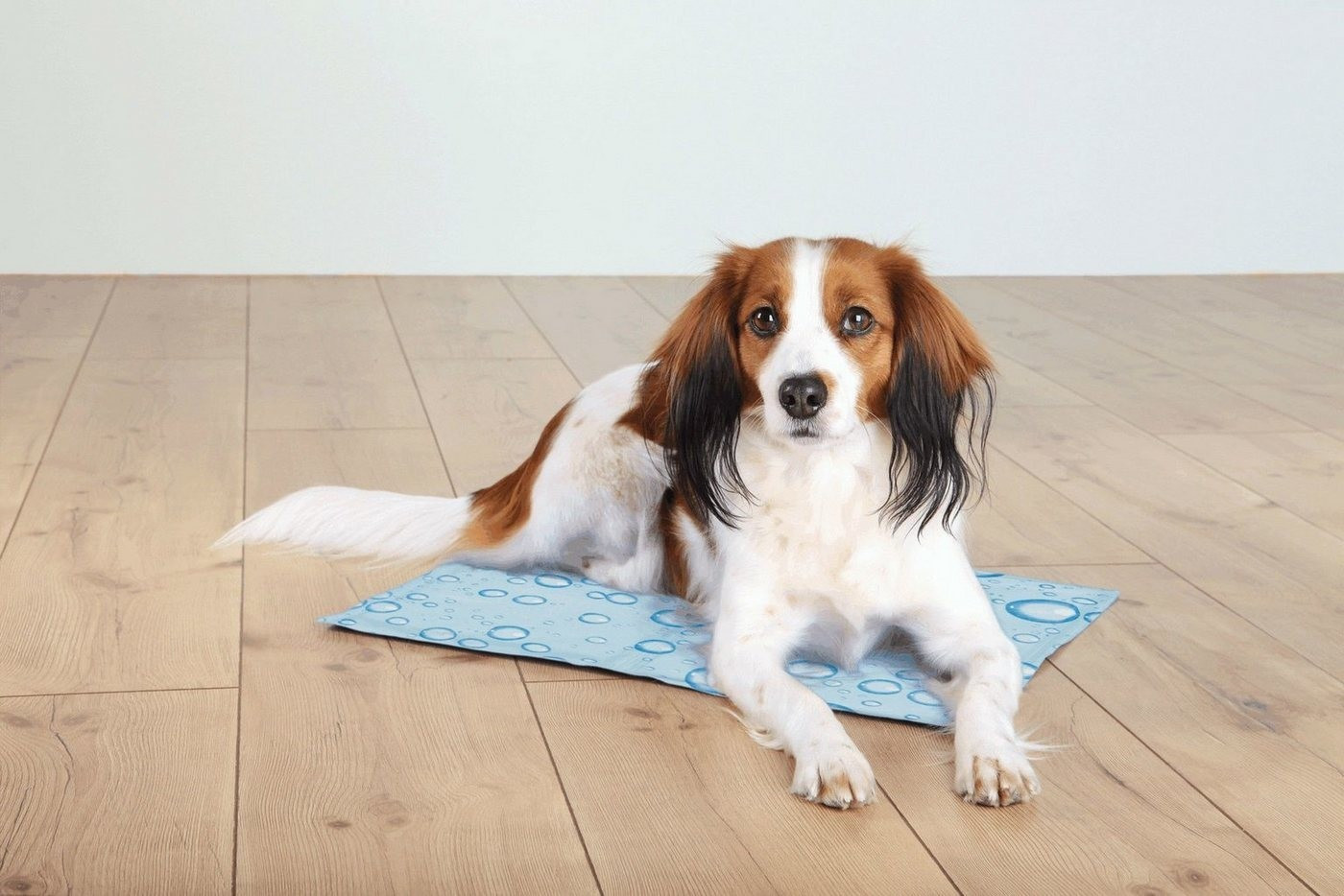 Trixie Tapis rafraîchissant pour chien Trixie Tapis rafraîchissant pour chien