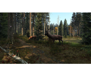Dayz ps4 for shop sale