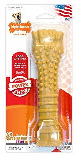 Nylabone Dura Power Chew Peanut Butter XL