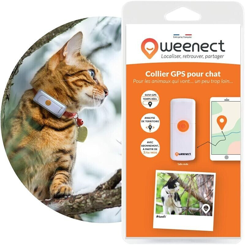 Tractive GPS CAT 4 - collier GPS pour chat avec suivi d'activité