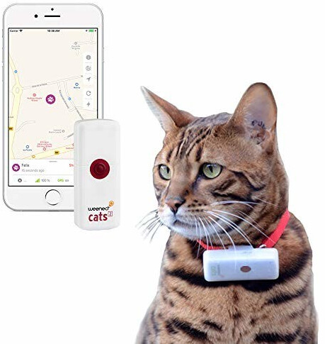 Collier GPS pour chat WEENECT Cats 2 pas perdre son chat / anti fugue –  TECIN HOLDING