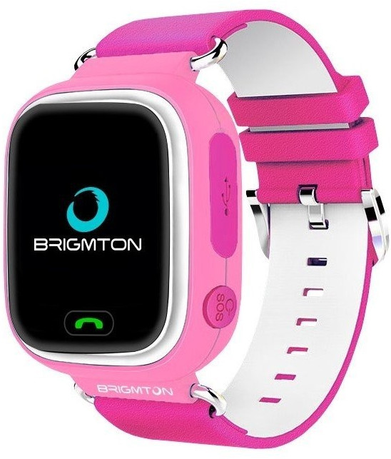 Brigmton BWATCH-KIDS rose