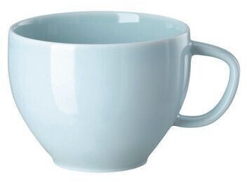 Rosenthal 10540-405204-14772