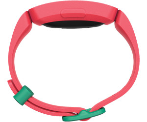 watermelon fitbit