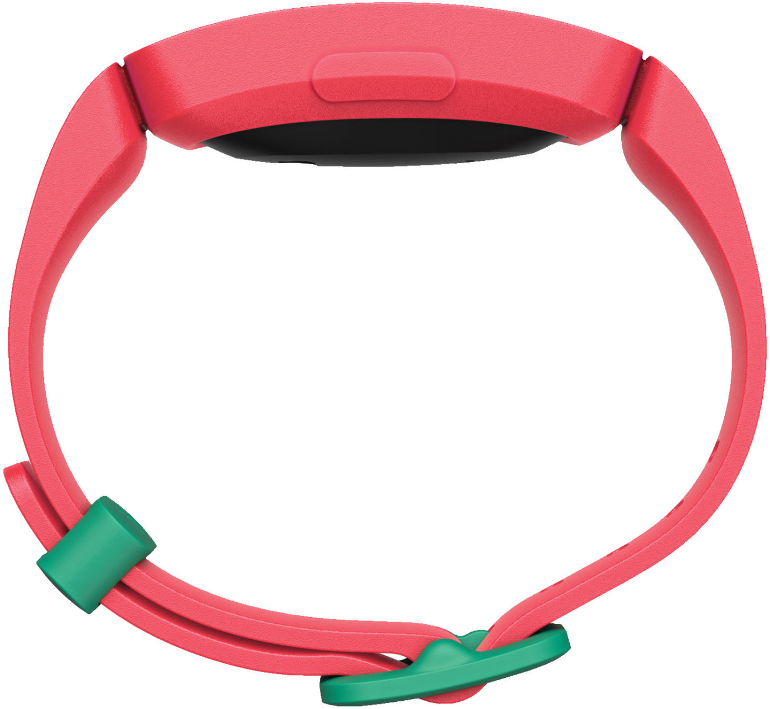 watermelon fitbit
