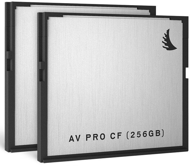 Angelbird AV PRO CF - 256 Go (2 Pack)