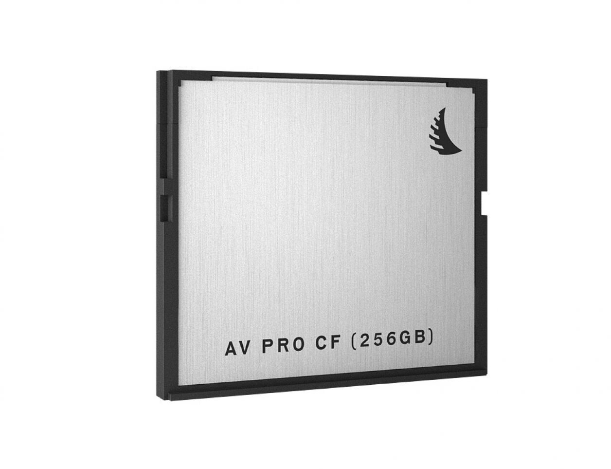 Angelbird AV PRO CF - 256 Go (1 Pack)