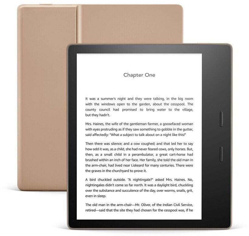 Kindle Oasis 2019 32 Go Wi-Fi or
