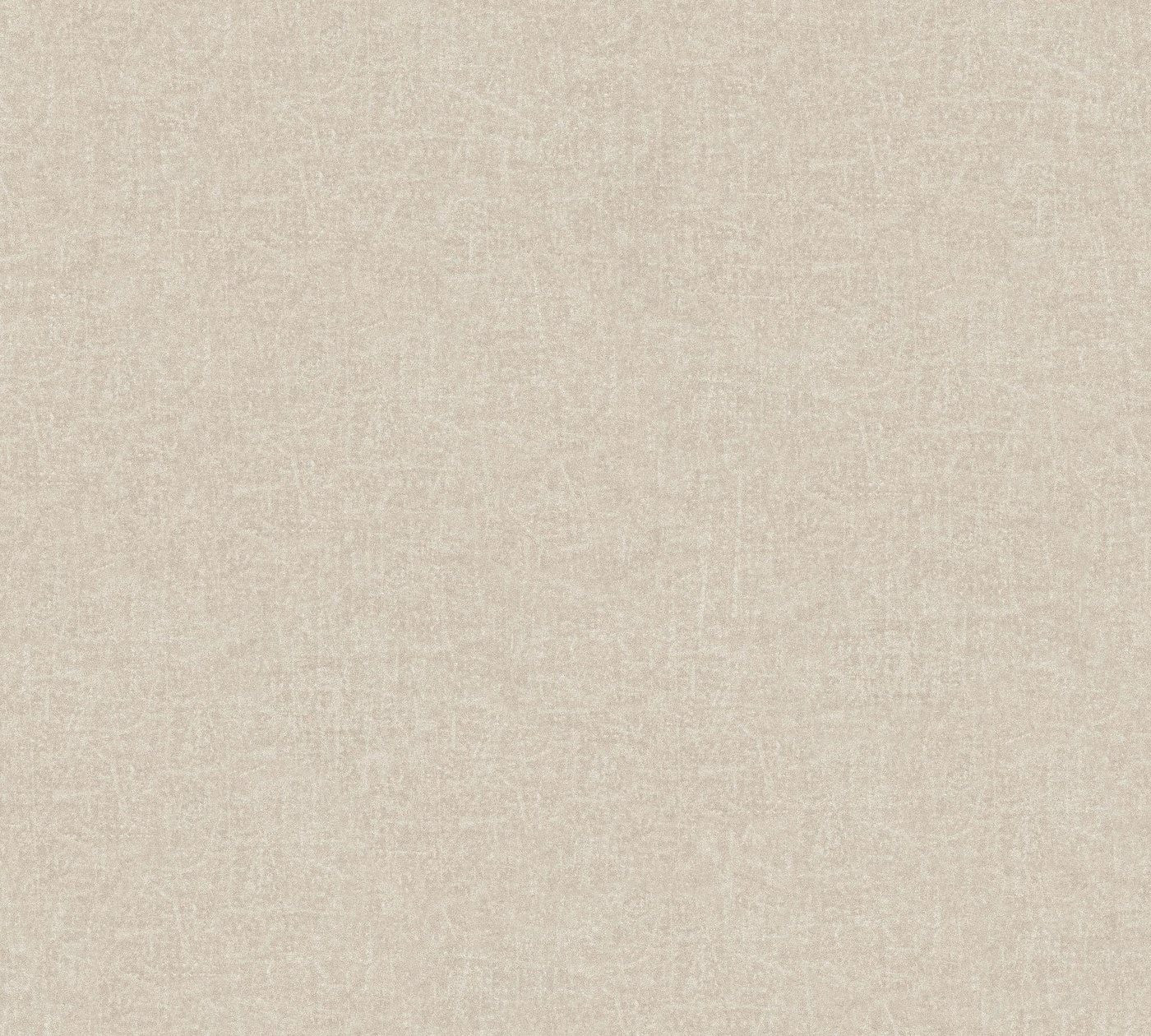 A.S. Creation 36396-2