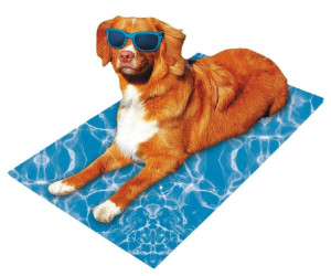 Kühlmatte Für Hunde – 107,7 X 71,1 Cm, Rutschfeste Unterseite, Waschbar, Mit Eisseide, Für Auto, Kiste & Zuhause
