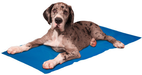 Karlie Cooling Pillow blue 100x60cm
