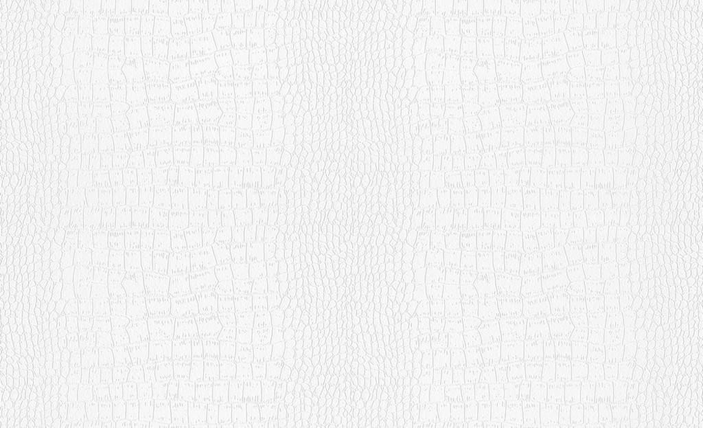 A.S. Creation 9506-11