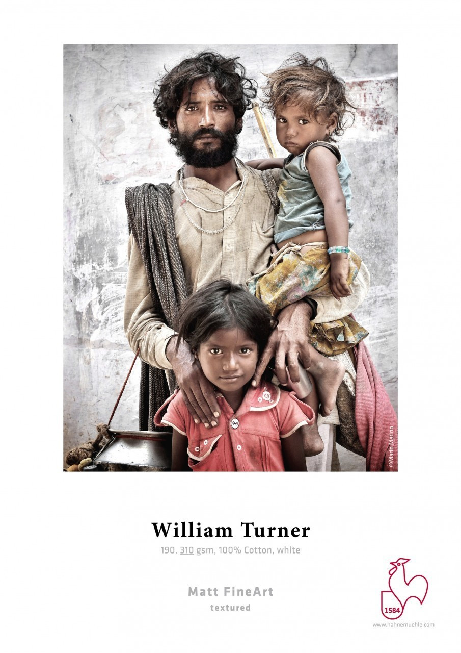 Hahnemühle William Turner 310 (10643134)