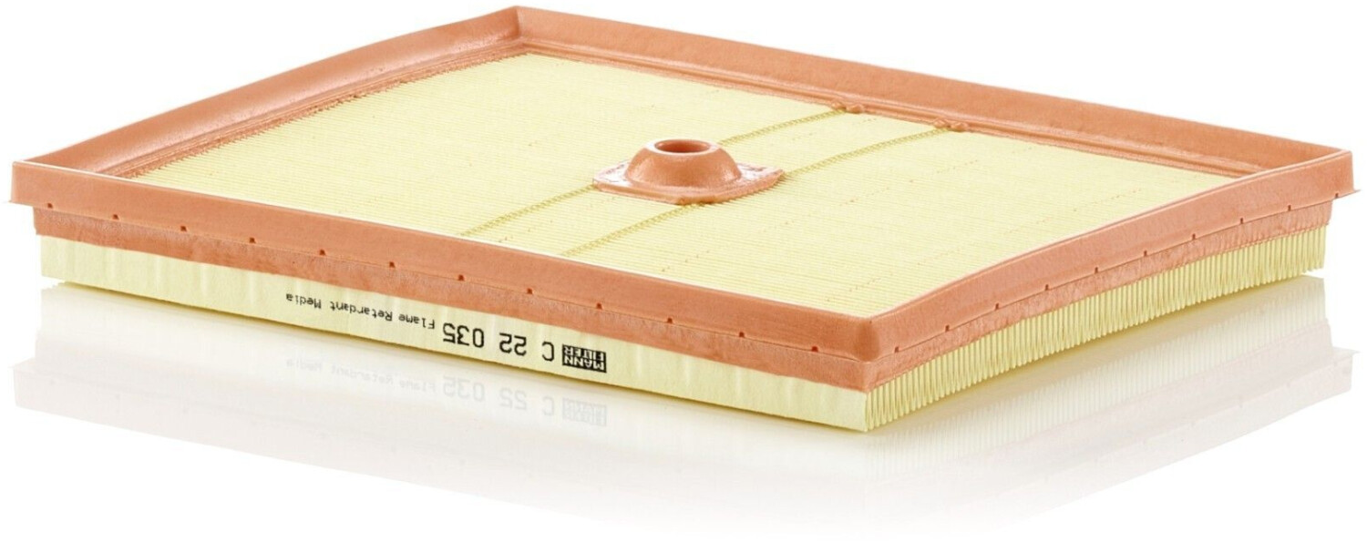 Mann Filter C 22 035