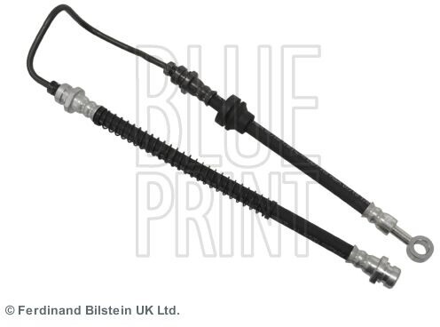 Blue Print ADG053121