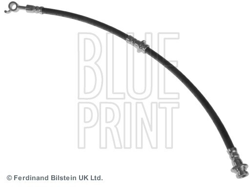 Blue Print ADN153241