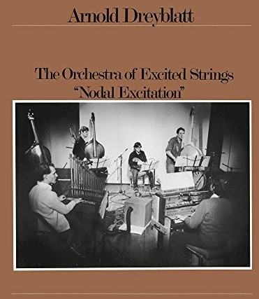 Arnold Dreyblatt - Nodal Excitation (Vinyl)