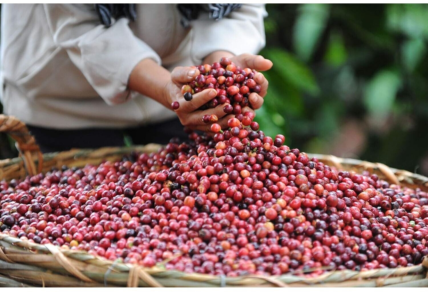 Nescafé Nescafé Gold Espresso (100g) - alternate view