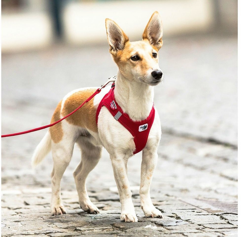 Curli Harnais pour chien rouge XL Curli Harnais pour chien rouge XL