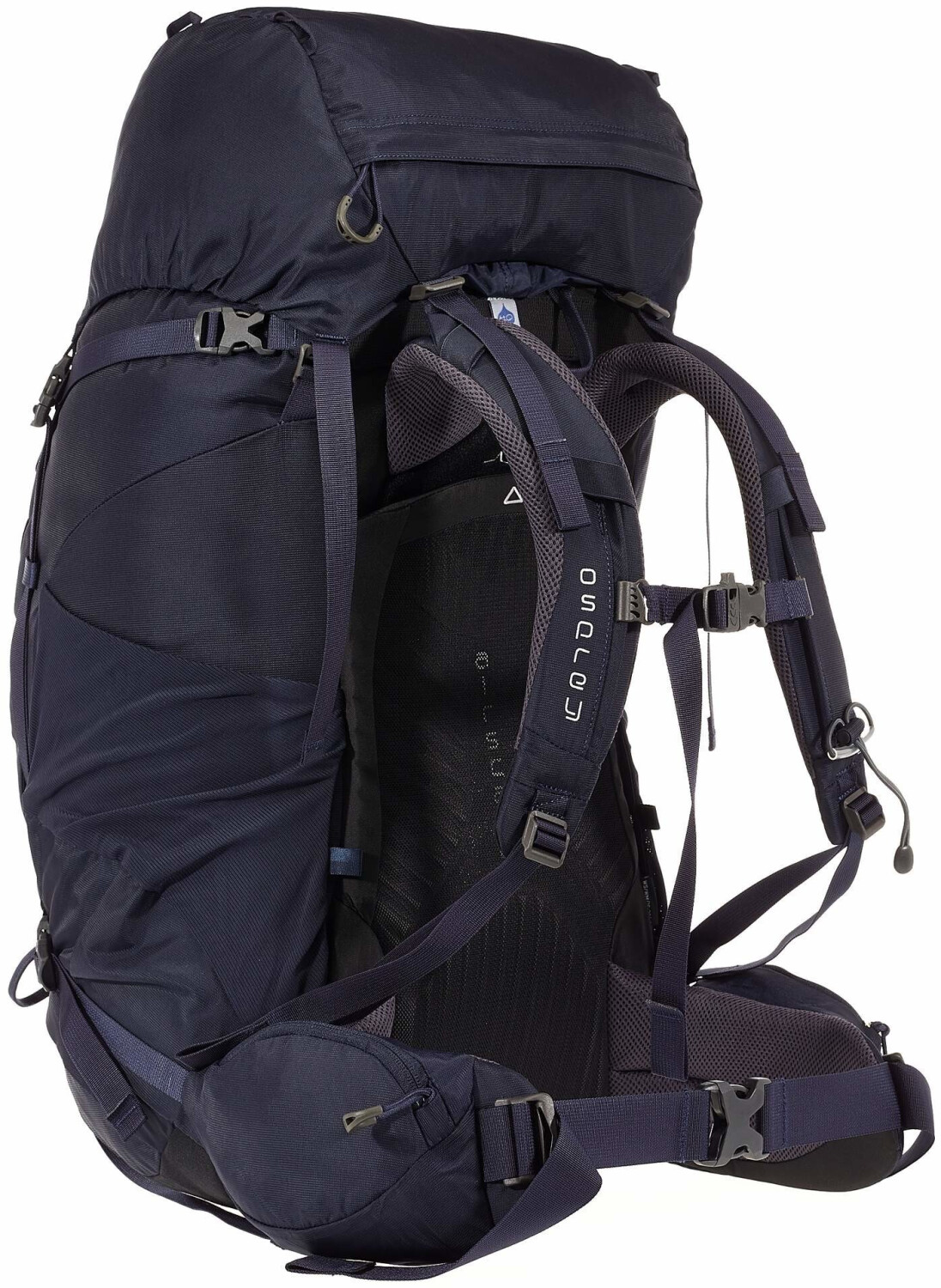 Osprey Kyte 66 (2019) mulberry purple ab 209,49 € Preisvergleich bei