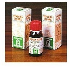 Specchiasol Devil's Claw Mother Tincture (50 ml)