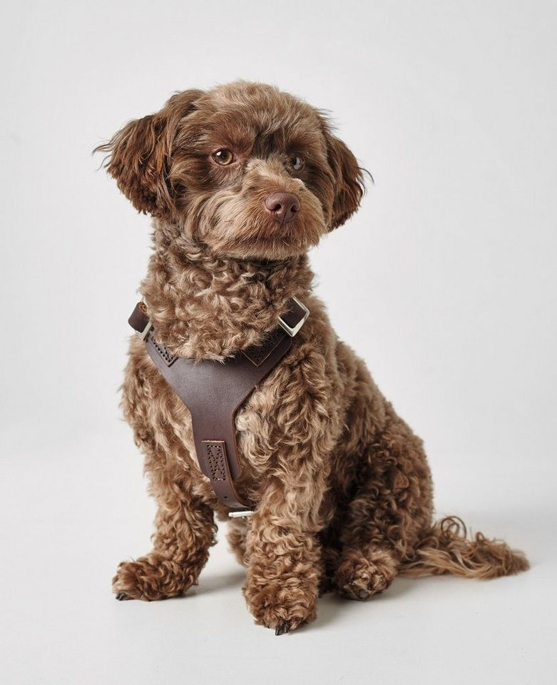 HUNTER Harnais pour chien Dark Brown XXL 2.5 cm HUNTER Harnais pour chien Dark Brown XXL 2.5 cm