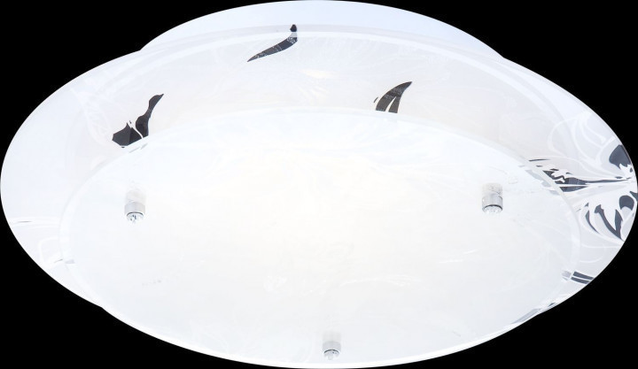 Globo Claire 25x9,5cm (48077)