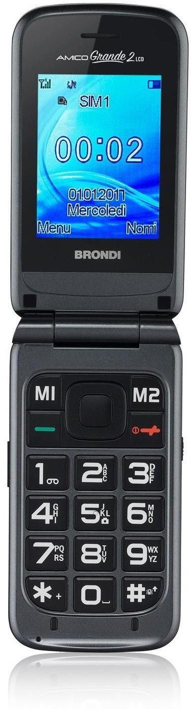 Brondi Amico Grande 2