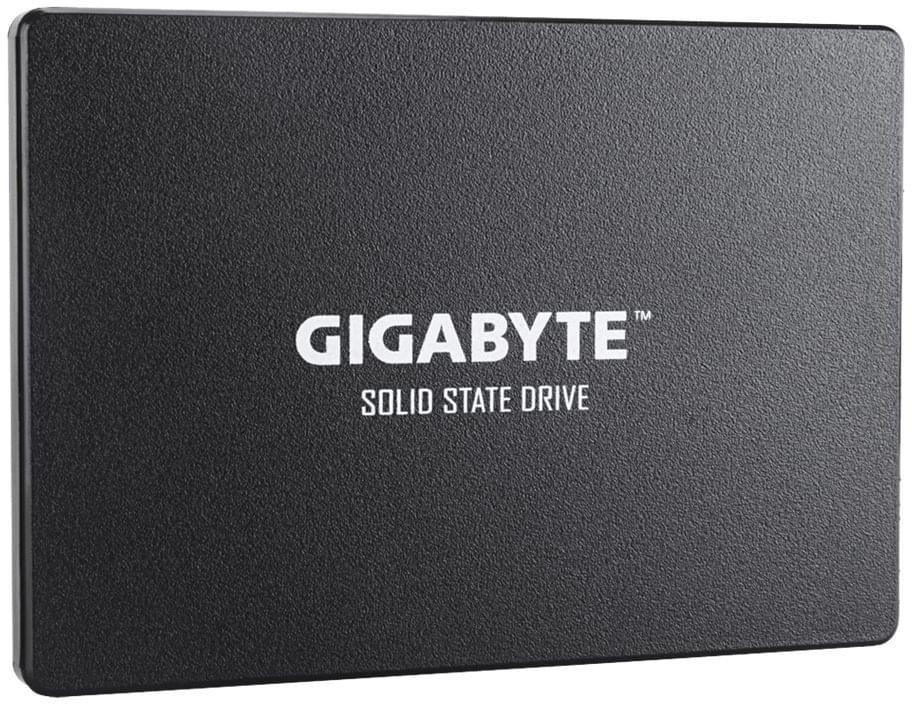 GigaByte SSD 256 Go (GP-GSTFS31256GTND) au meilleur prix sur