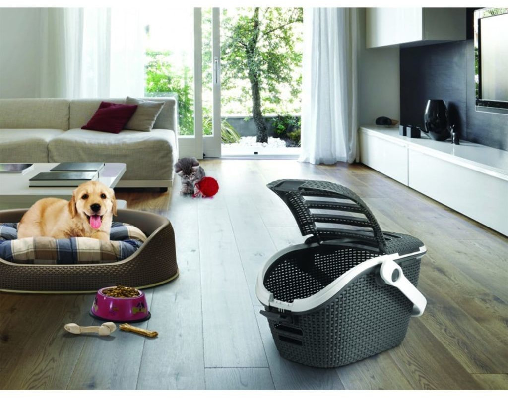 Curver Caisse de transport pour chat anthracite Curver Caisse de transport pour chat anthracite