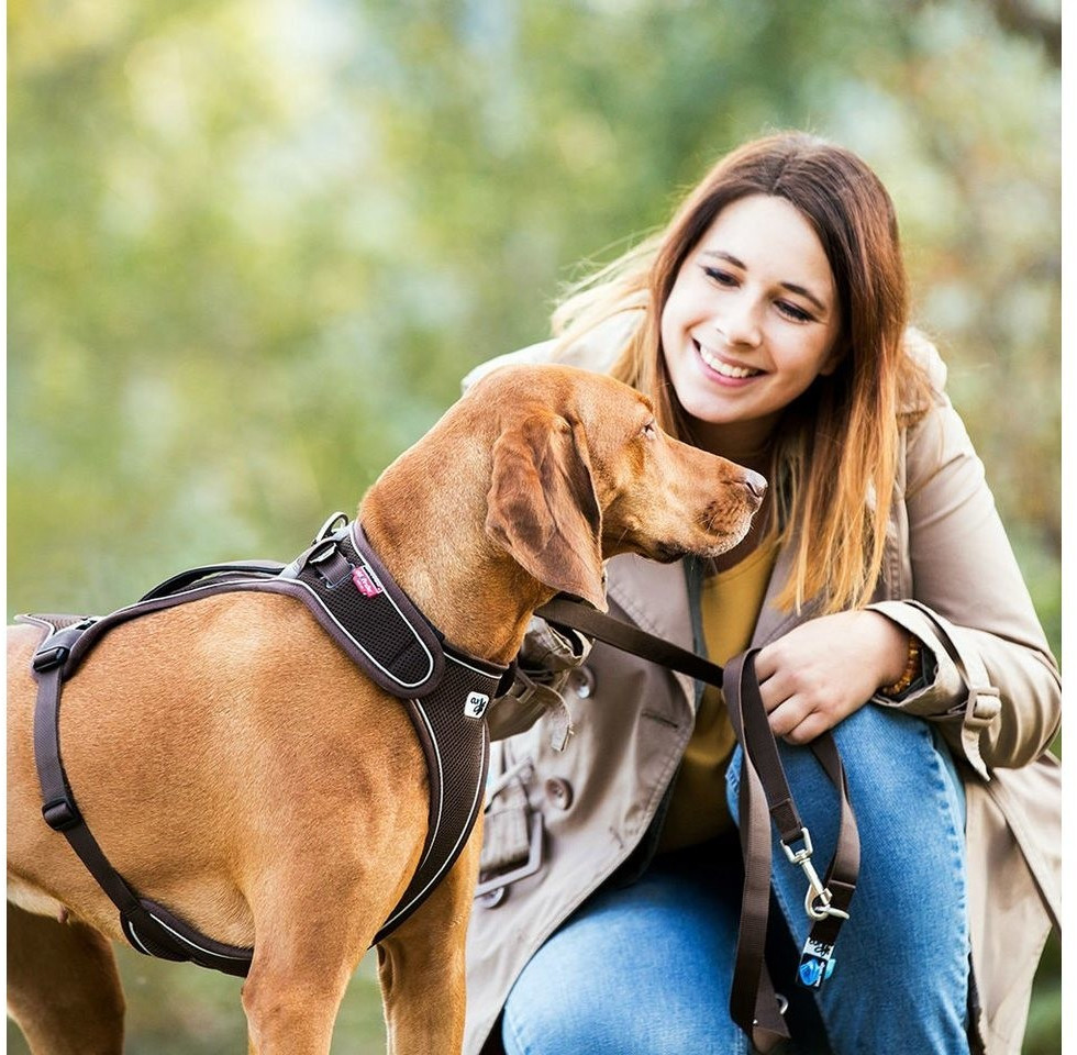 Curli Harnais pour chien marron L