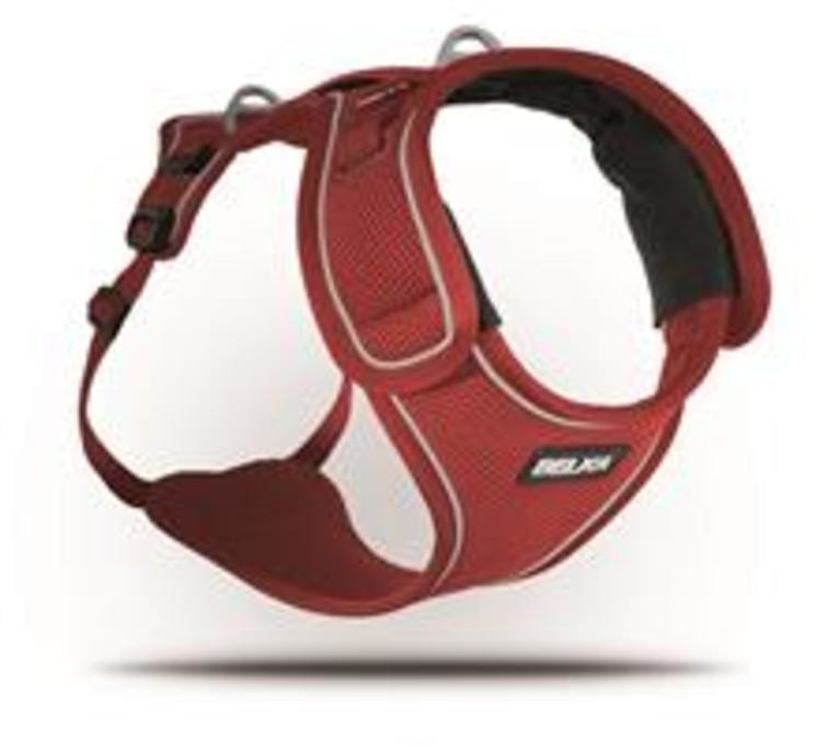 Curli Harnais Belka rouge M