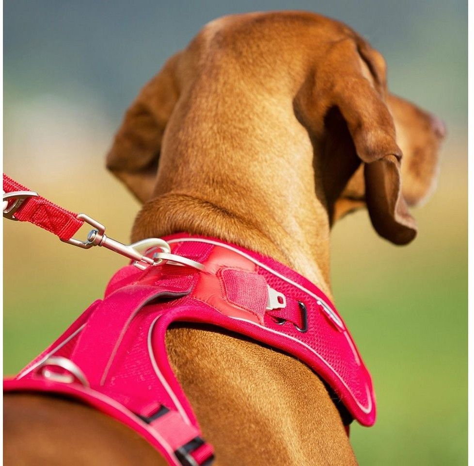 Curli Harnais pour chien rouge S