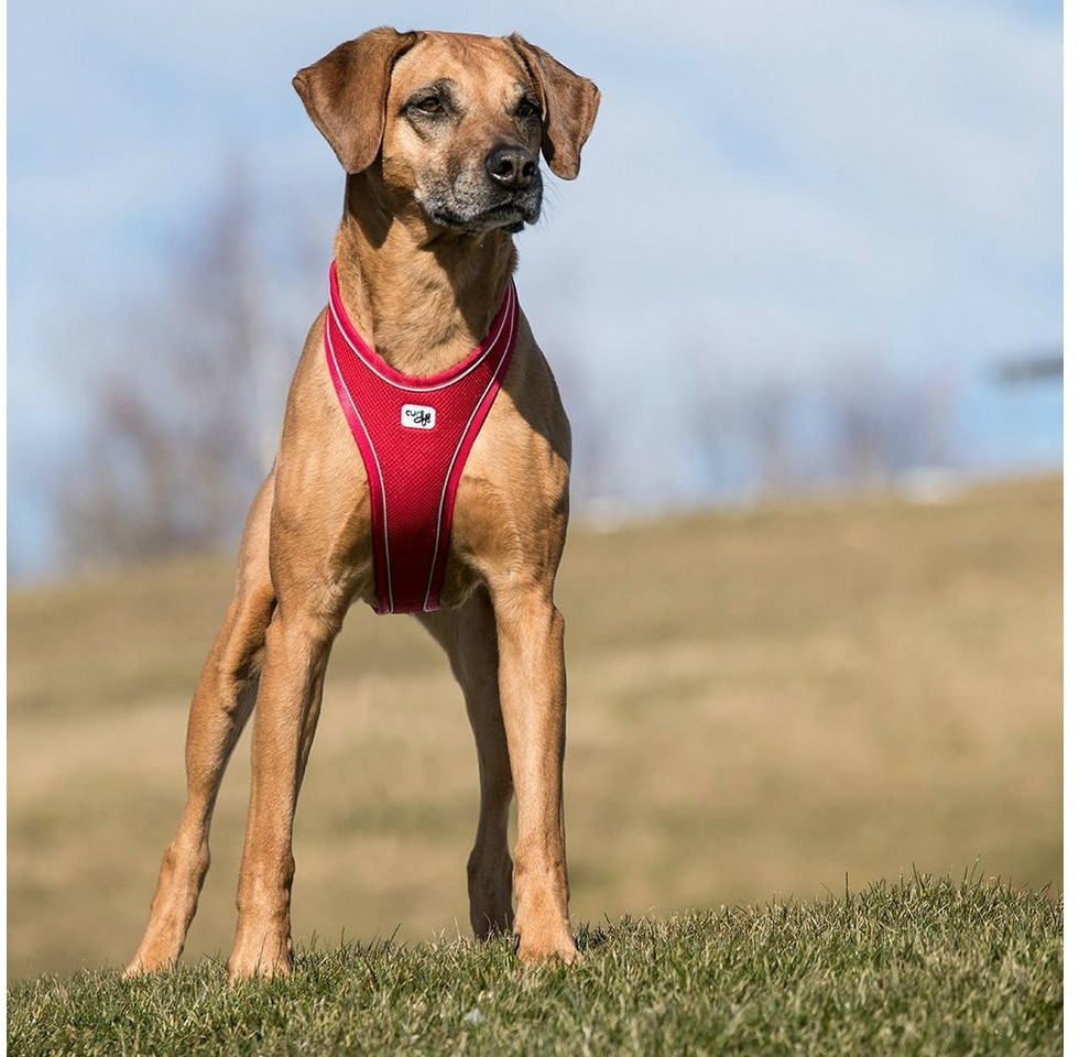 Curli Harnais pour chien Red S Curli Harnais pour chien Red S