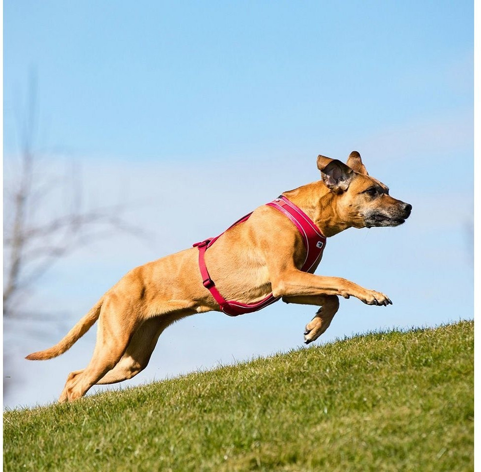 Curli Harnais pour chien Red S Curli Harnais pour chien Red S