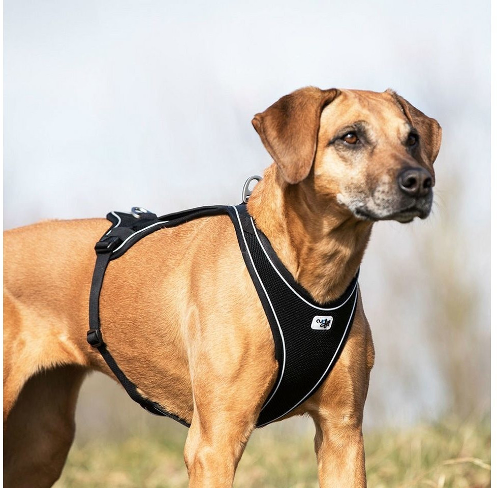 Curli Harnais pour chien Black XL Curli Harnais pour chien Black XL