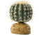 Exo Terra Barrel Cactus S (PT2980)