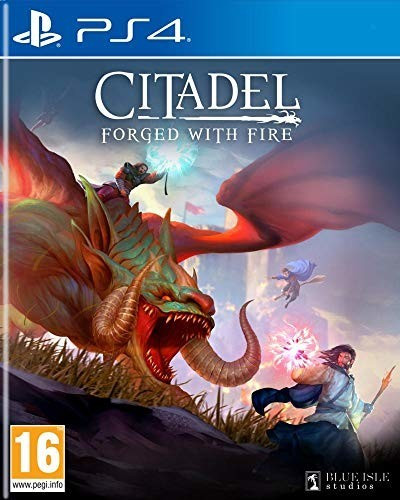 Citadel: Forged With Fire (PS4)
