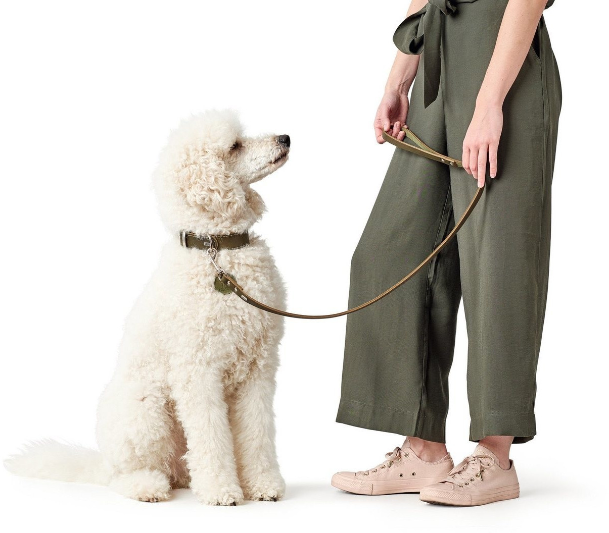 HUNTER Collier pour chien 47 olive green HUNTER Collier pour chien 47 olive green