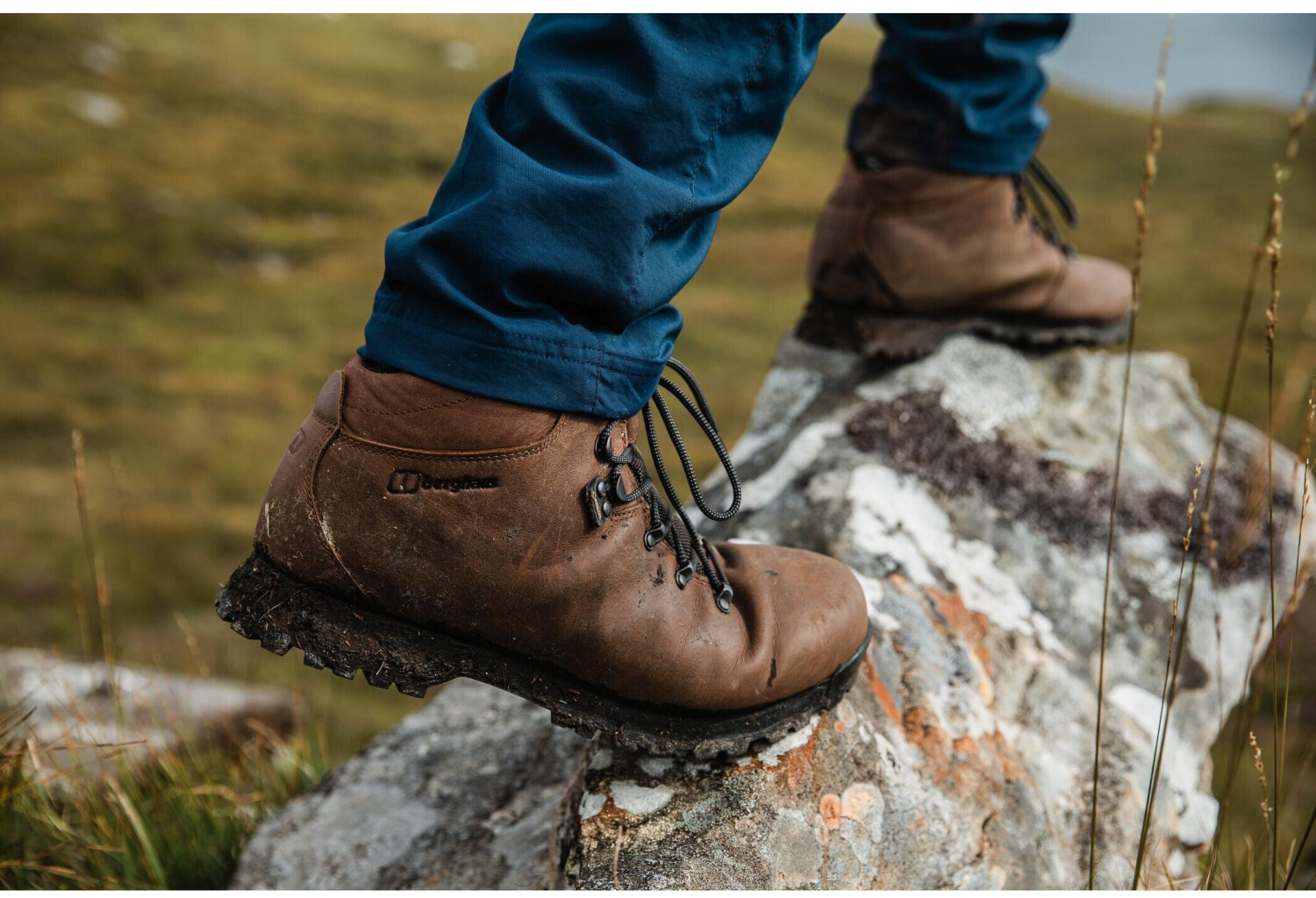 Berghaus Hillwalker GTX Dames Wandelschoenen
