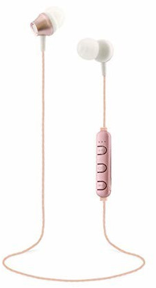 T'nB Steel rose