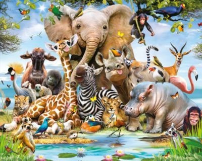 Walltastic 8002651