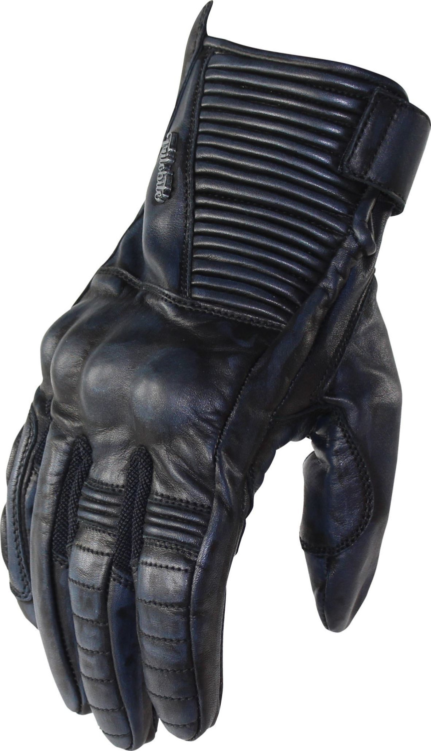 Trilobite Gantss bleu