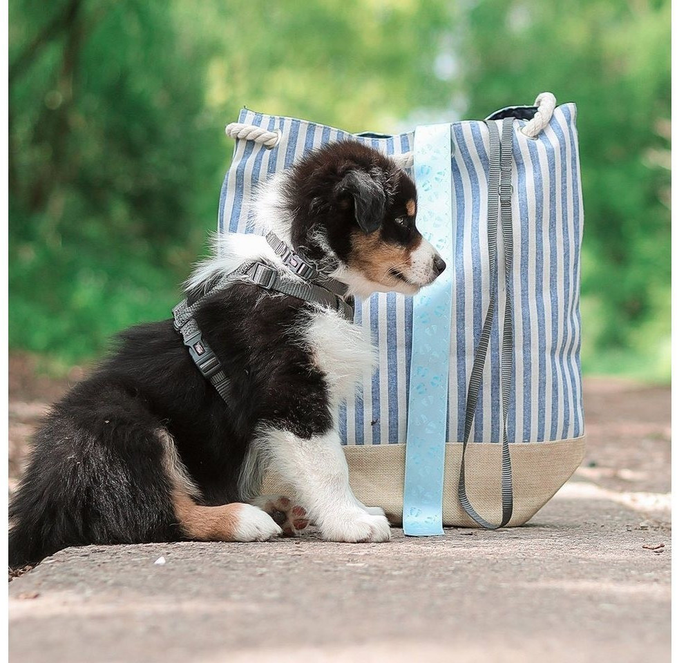 Trixie Harnais pour chien L-XL 75-120cm 25mm Grey Trixie Harnais pour chien L-XL 75-120cm 25mm Grey