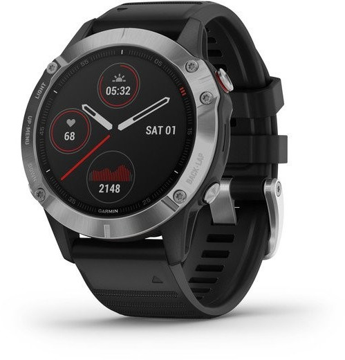 Garmin fenix 6 argent au meilleur prix sur idealo