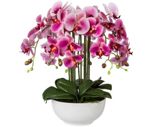 Gasper Orchidee Phalaenopsis 54cm 76,83 Keramikschale | bei € in Preisvergleich ab
